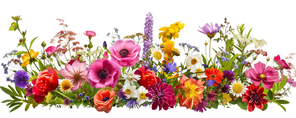 Página de Inicio vibrant wildflowers blooming with a transparent background a beautiful display of nature s colors png